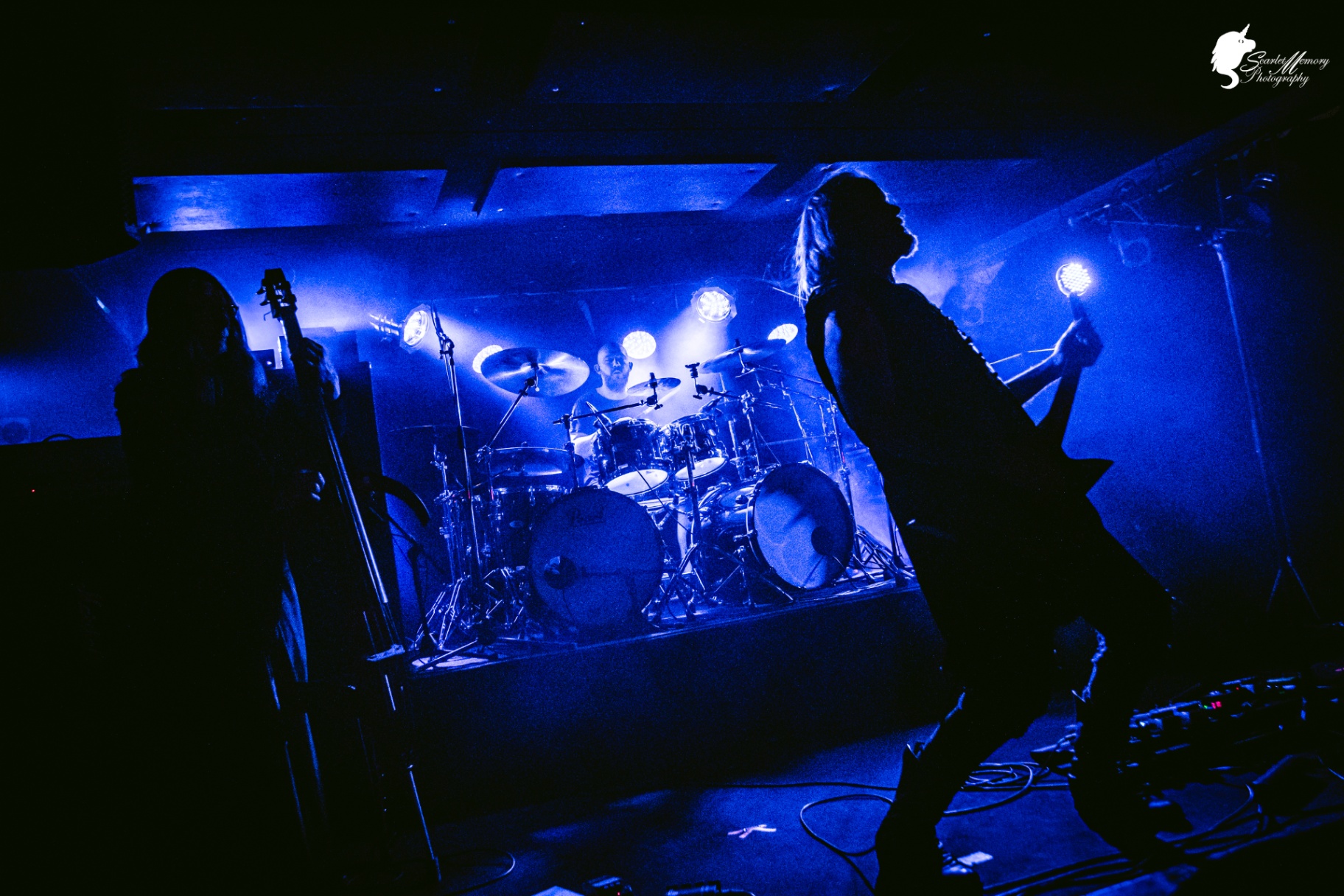 Cadaver — Active Death Metal · Since 1988